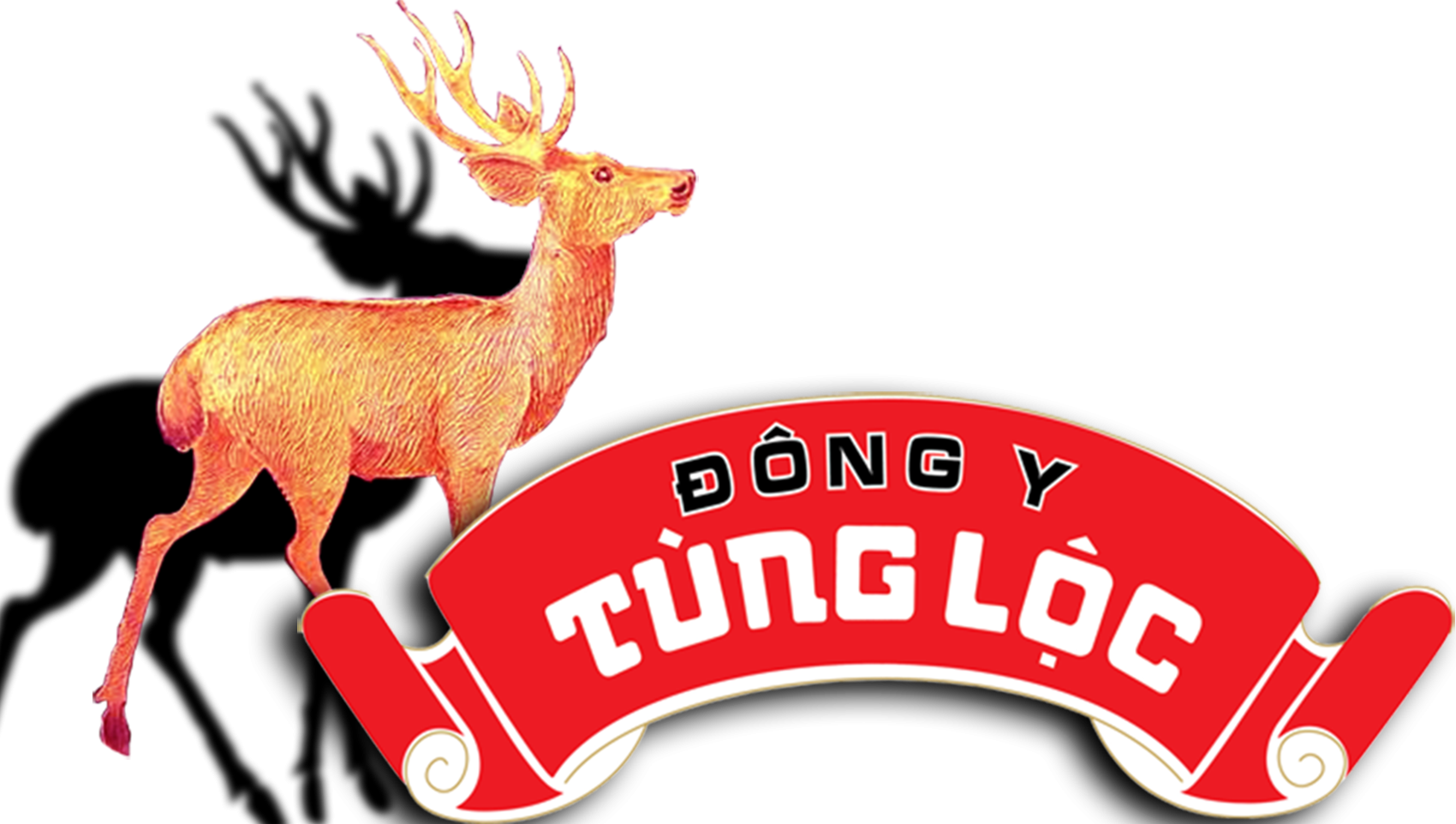Thuốc cam Tùng Lộc gia truyền Hàng Bạc
